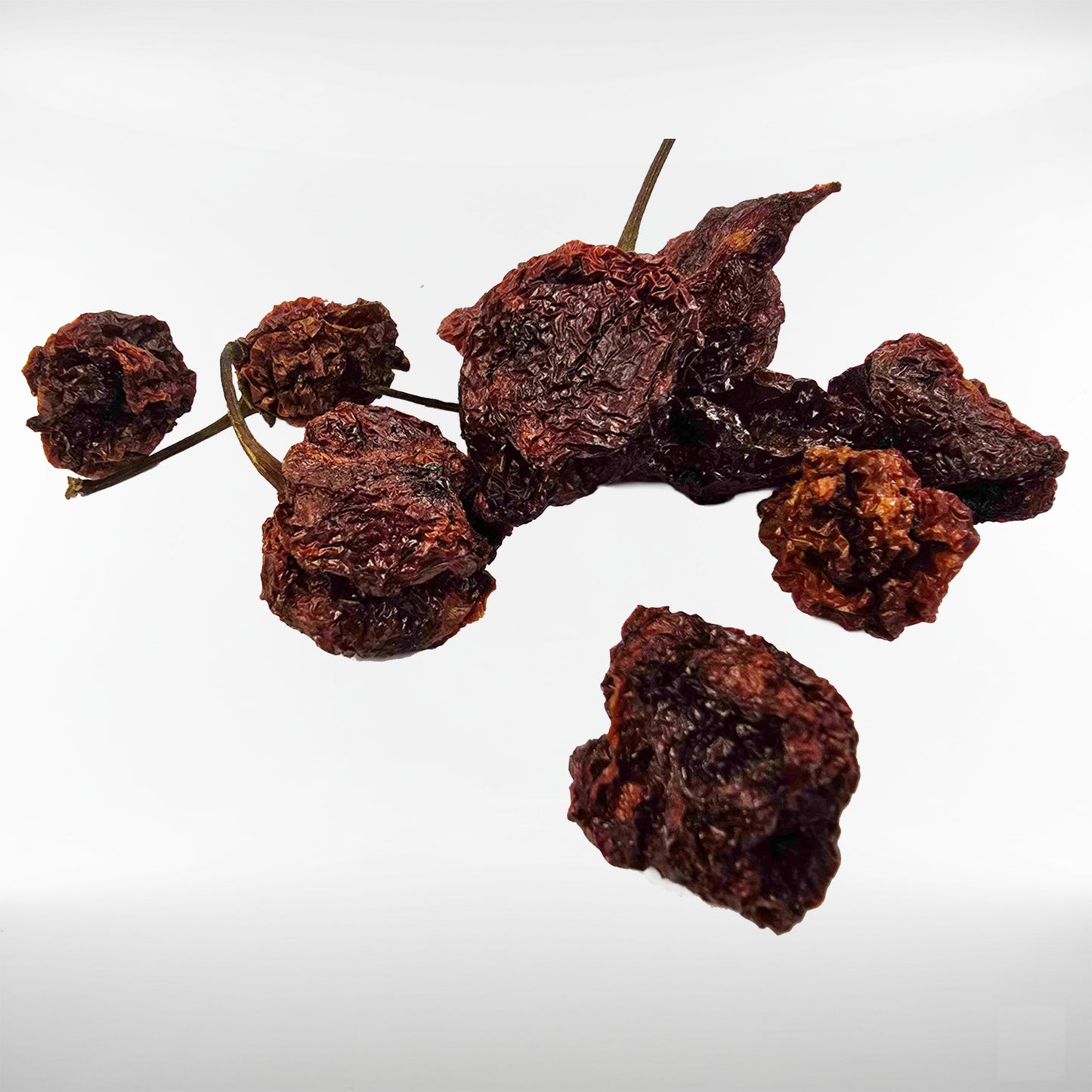 7 Pot Brain Strain Chili Schoten | tropisch, fruchtig, schnelle Schärfe | getrocknet | 10 Gr