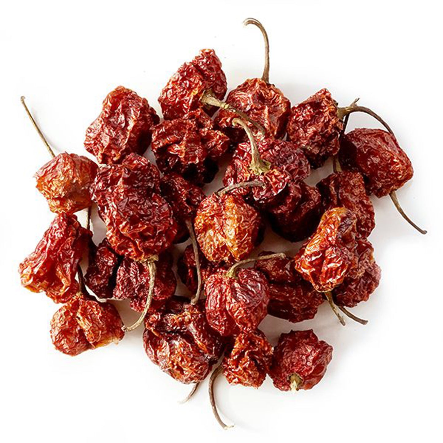 Carolina-Reaper-Pods-getrocknete-Chilischoten