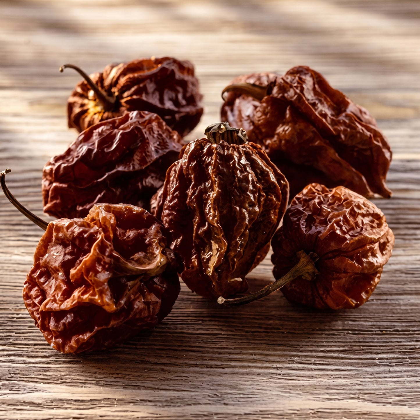 Chocolate Bhutlah Chili Schoten | erdig-fruchtig, extrem scharf | getrocknet | 10 gr