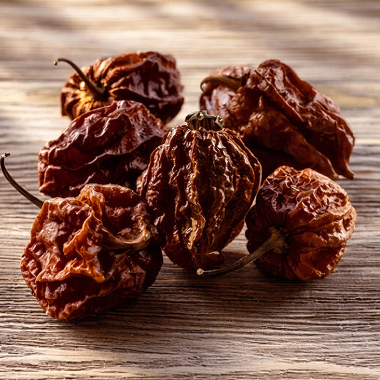 Chocolate Bhutlah Chili Schoten | erdig-fruchtig, extrem scharf | getrocknet | 10 gr