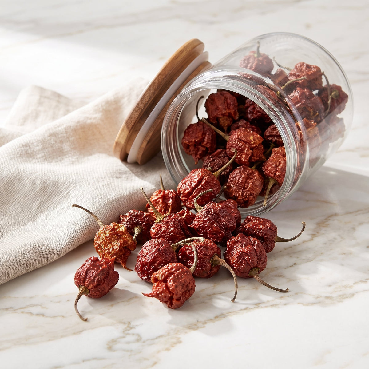 Getrocknete Carolina Reaper Chilischoten fallen aus einem Vorratsglas auf eine helle Marmorablage