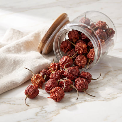 Getrocknete Carolina Reaper Chilischoten fallen aus einem Vorratsglas auf eine helle Marmorablage